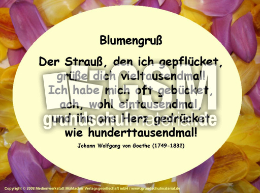 Blumengruss-Goethe.jpg